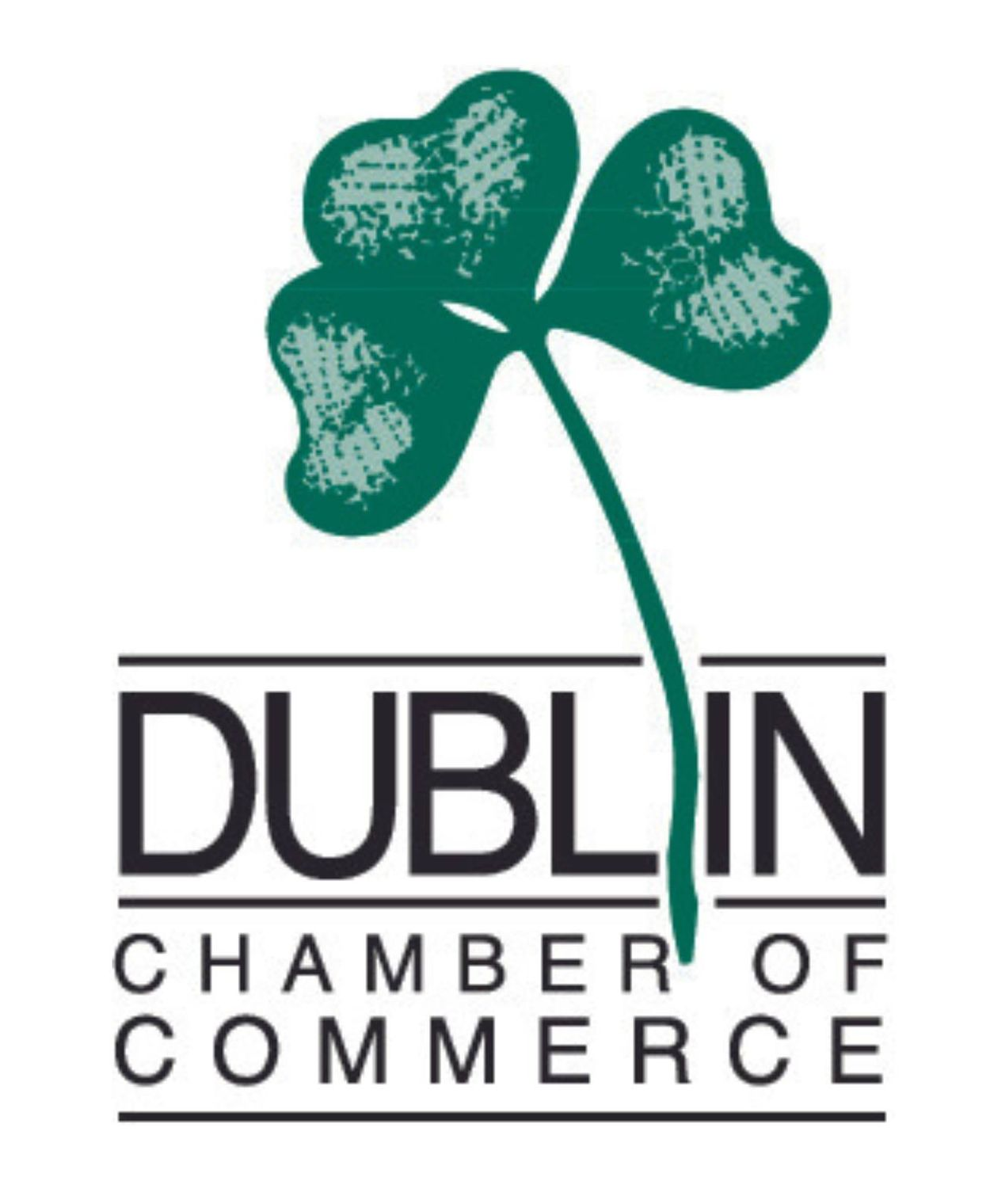 The dublin chamber of commerce logo