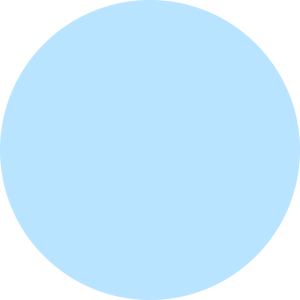 A light blue circle on a white background.