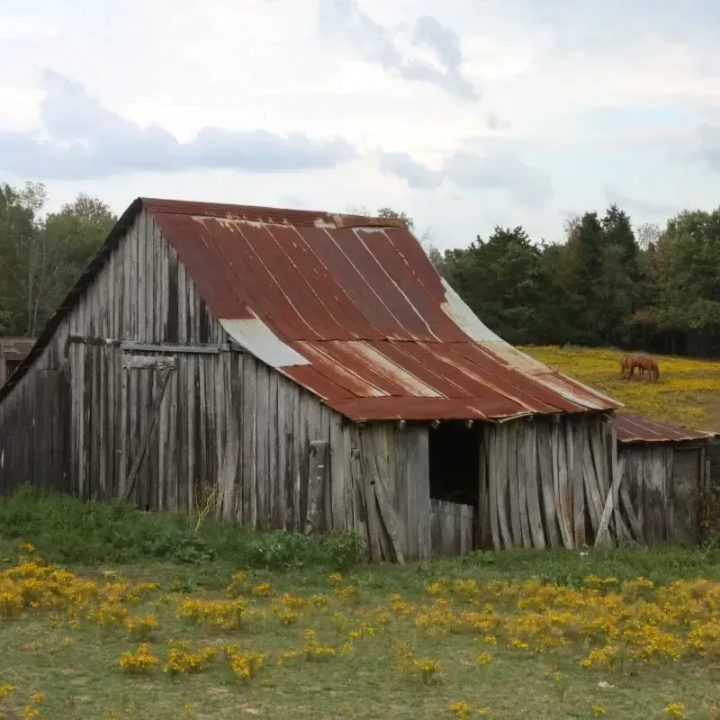 Barn Cleanout In Marysville, CA