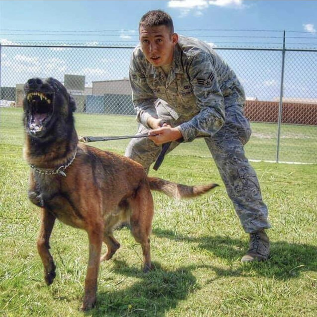 A man in a military uniform is standing next to a dog on a leash.