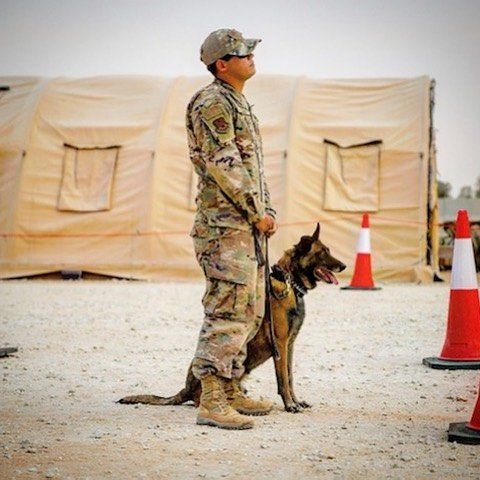 A man in a military uniform stands next to a dog