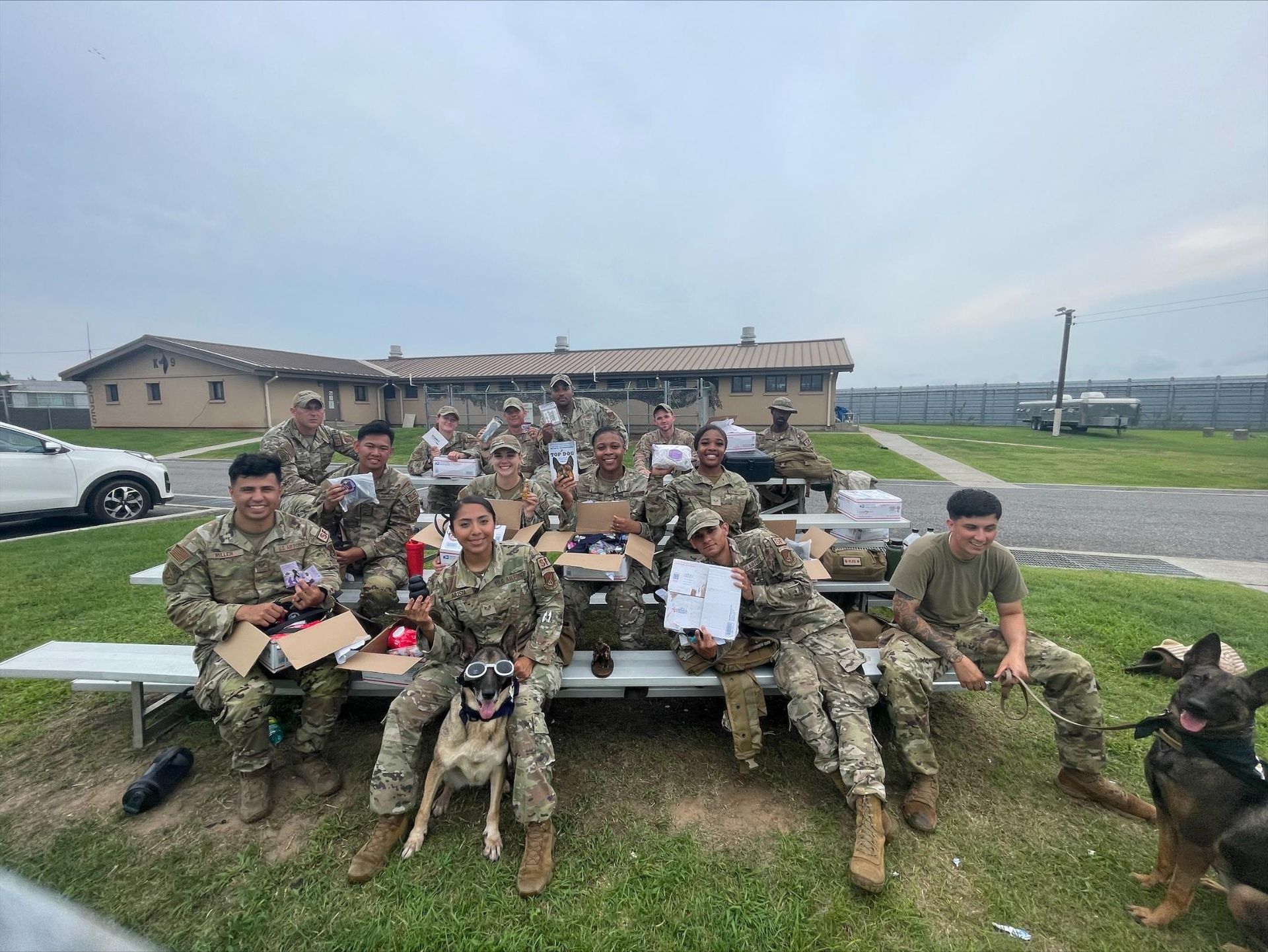 A group of soldiers and their dogs are posing for a picture.