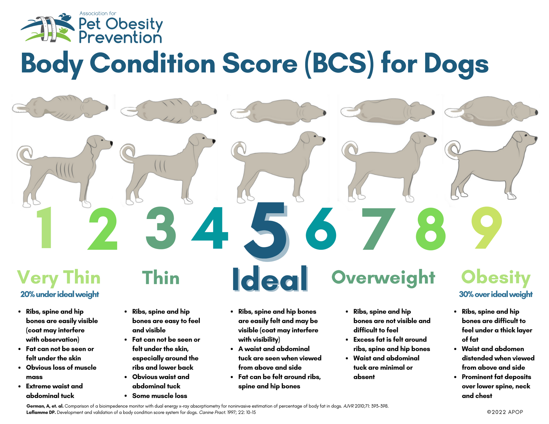 A poster showing the body condition score ( bcs ) for dogs.