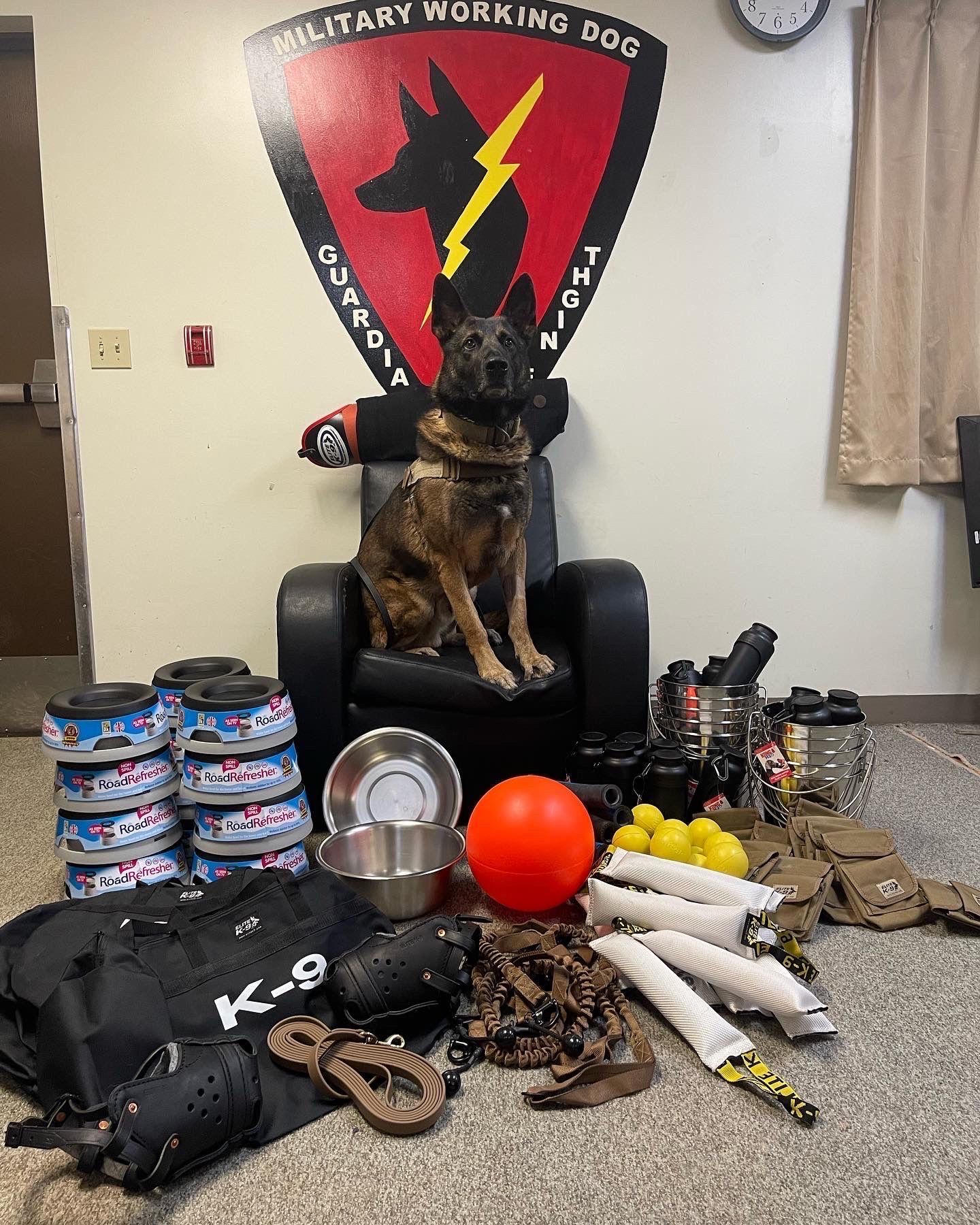 A dog is sitting in a chair in front of a military working dog logo.