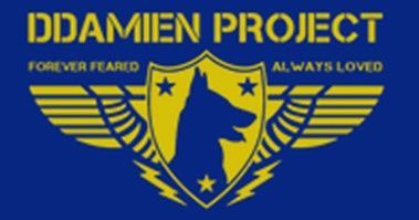 A blue and yellow logo for the didamien project