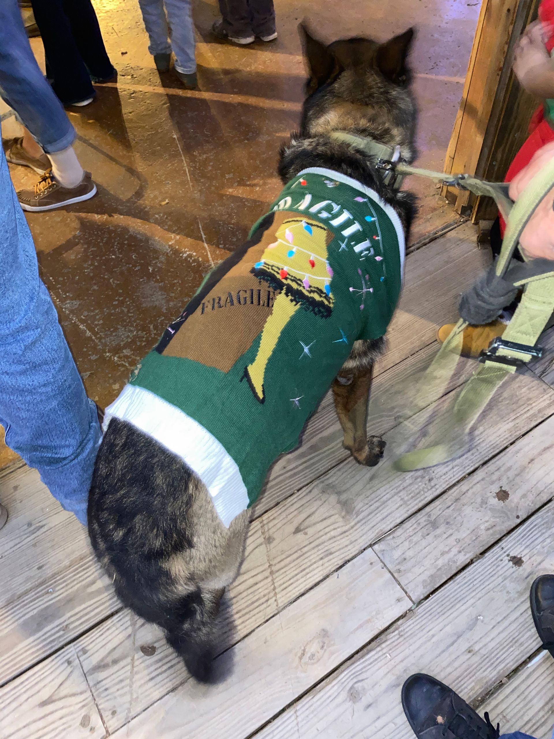 A dog wearing a green shirt that says ache