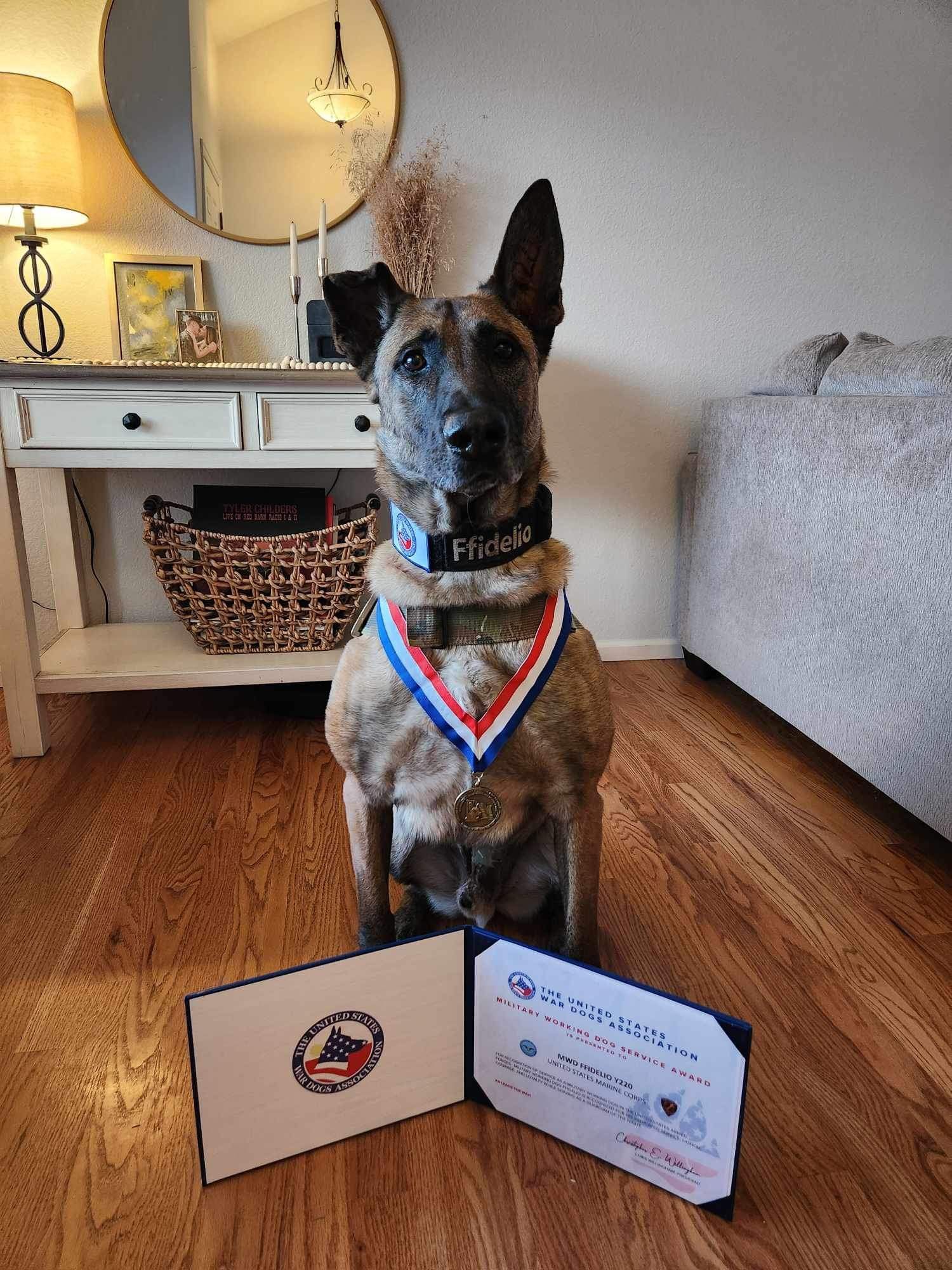 A dog wearing a medal around its neck is sitting next to a certificate.