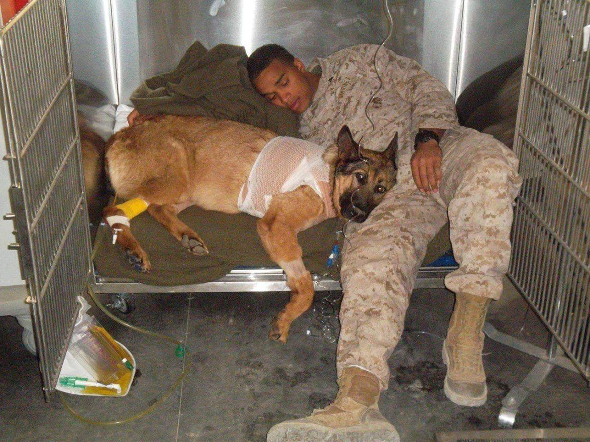 A man in a military uniform is sleeping next to a dog