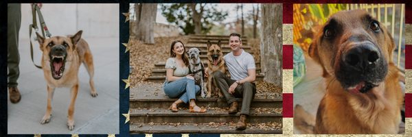 A collage of three pictures of a dog , a man and a woman , and an american flag.