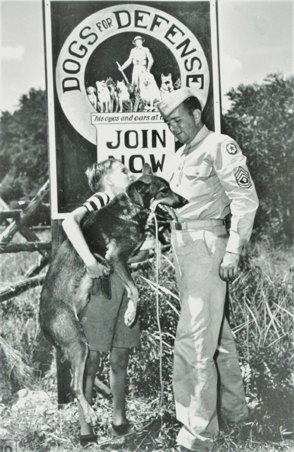 A man standing next to a sign that says dogs for defense
