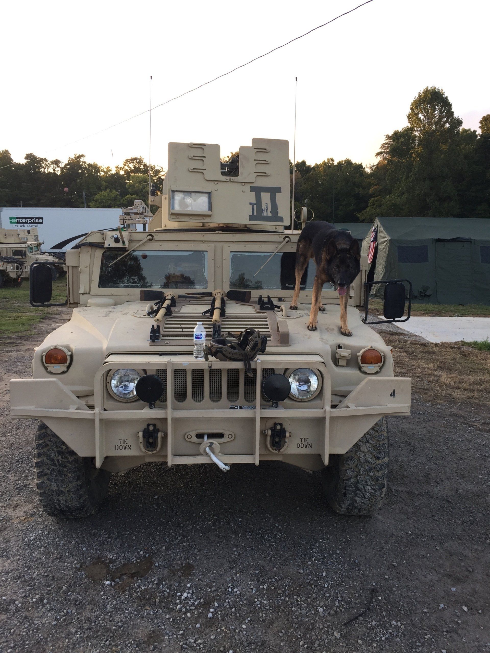 A dog is standing on top of a military vehicle.