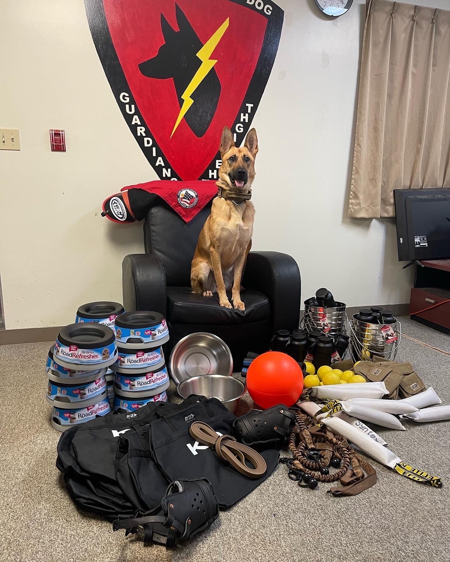A dog is sitting in a chair in a room surrounded by toys and food.