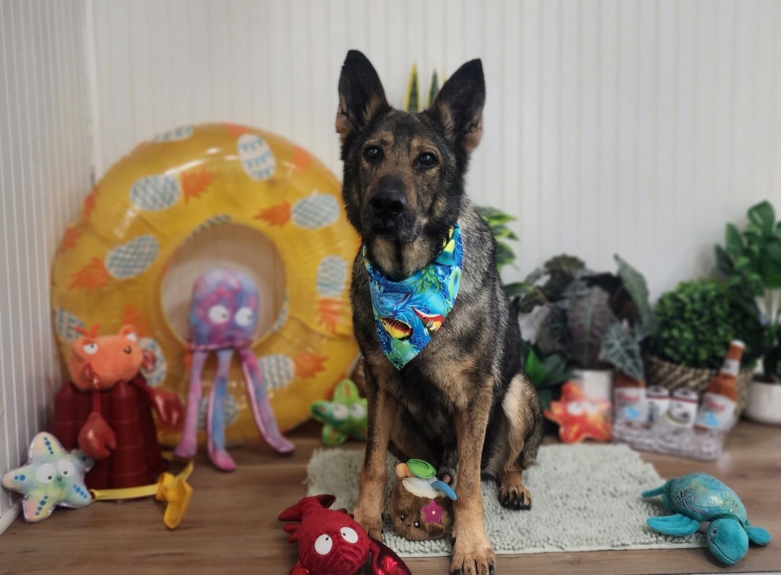 A dog wearing a bandana is sitting on a rug next to toys.