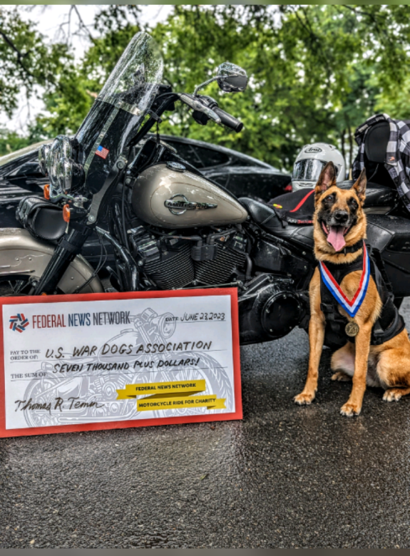 A dog wearing a medal is sitting in front of a motorcycle.