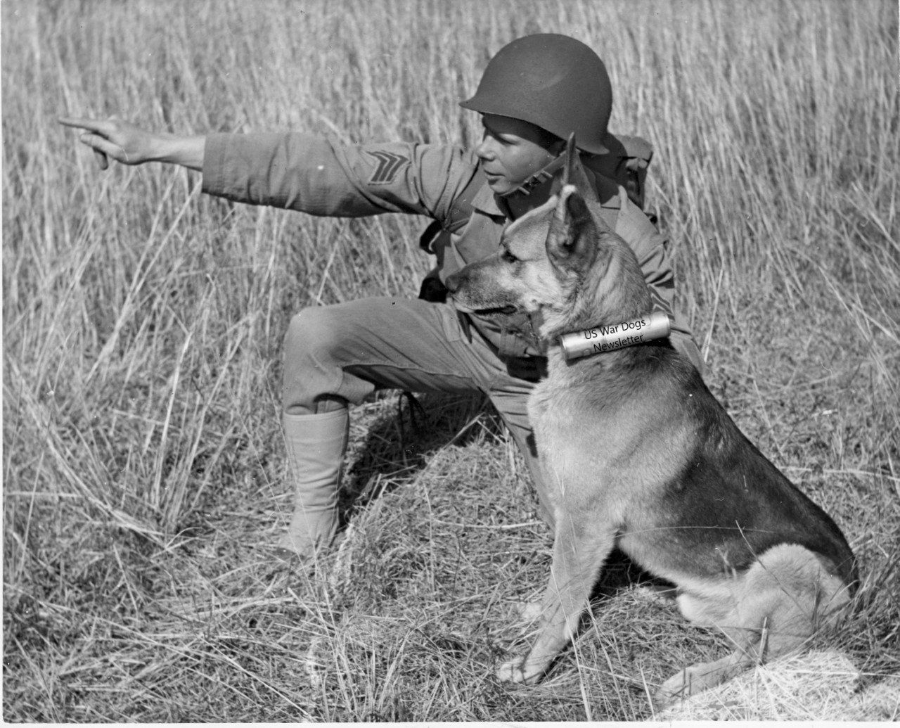 A black and white photo of a soldier and his dog in a field.