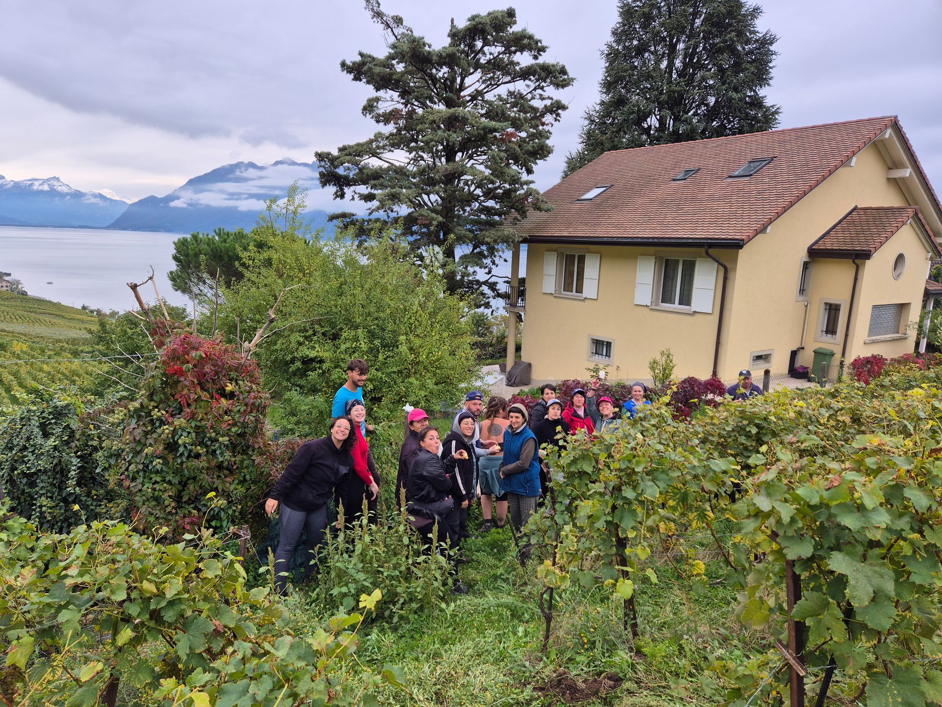 Un groupe de personnes se tient dans un vignoble devant une maison.