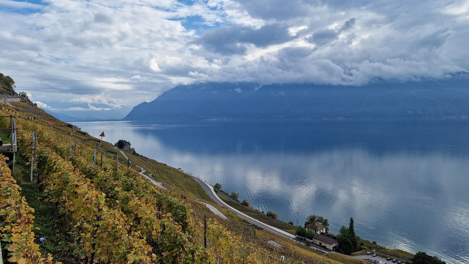 Un vignoble sur une colline surplombant un lac avec des montagnes en arrière-plan.