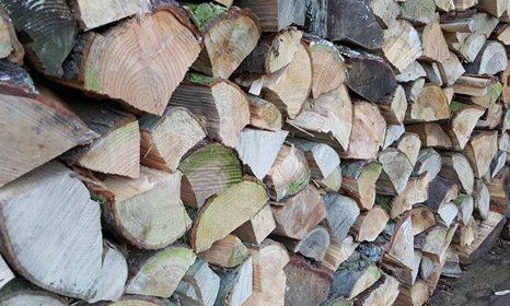 Hardwood and softwood logs