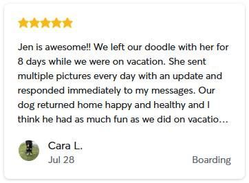 A five-star review for a boarding service written by Cara L. on July 28, praising the care provided to her dog.