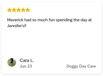 A five-star review for Doggy Day Care from Cara L. stating, 