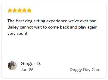 Five-star review from Ginger D. for Doggy Day Care: 