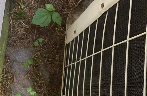 Air conditioner with protective grill, next to dirt, grass, and small green plants.