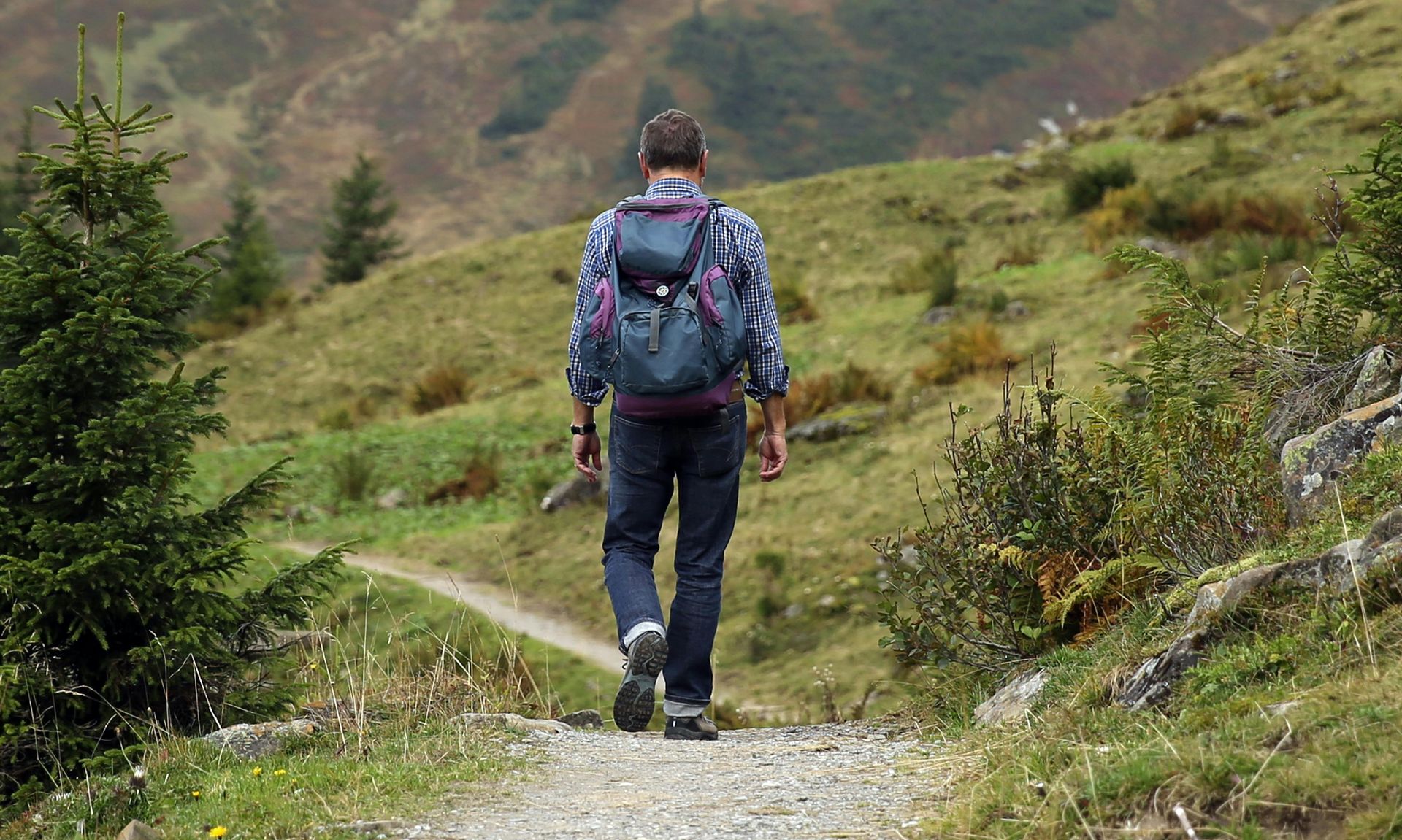 A person wearing a backpack and plaid shirt walks along a gravel path in a grassy, mountainous landscape.