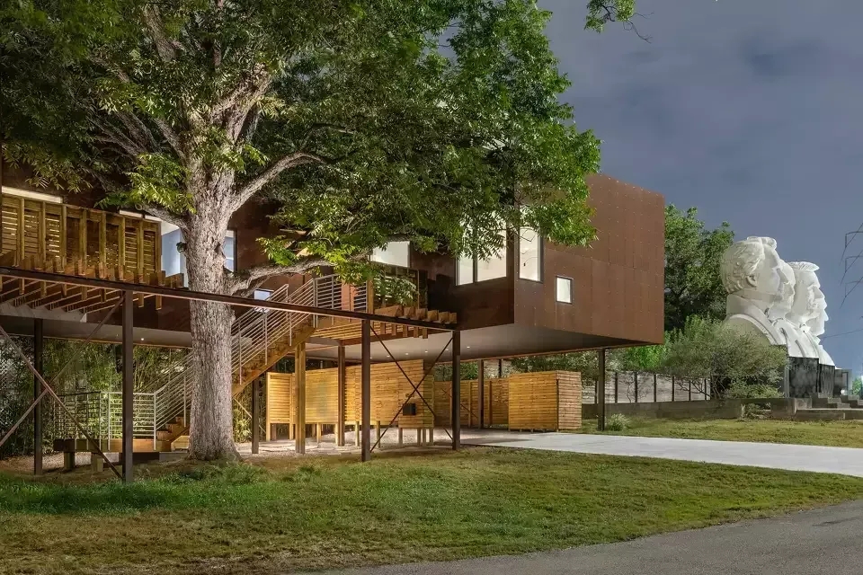 The Importance of Preserving Your Tree During Construction