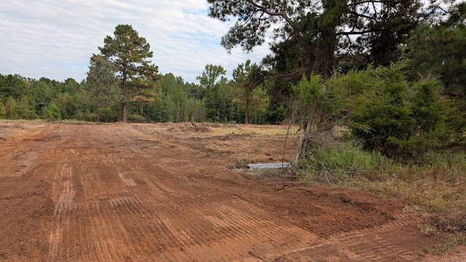 A dirt road in the middle of a forest with trees in the background.