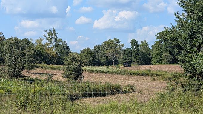 A field of grass and trees with a blue sky in the background.