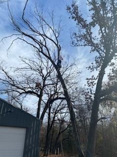 A man is climbing a tree in front of a garage.
