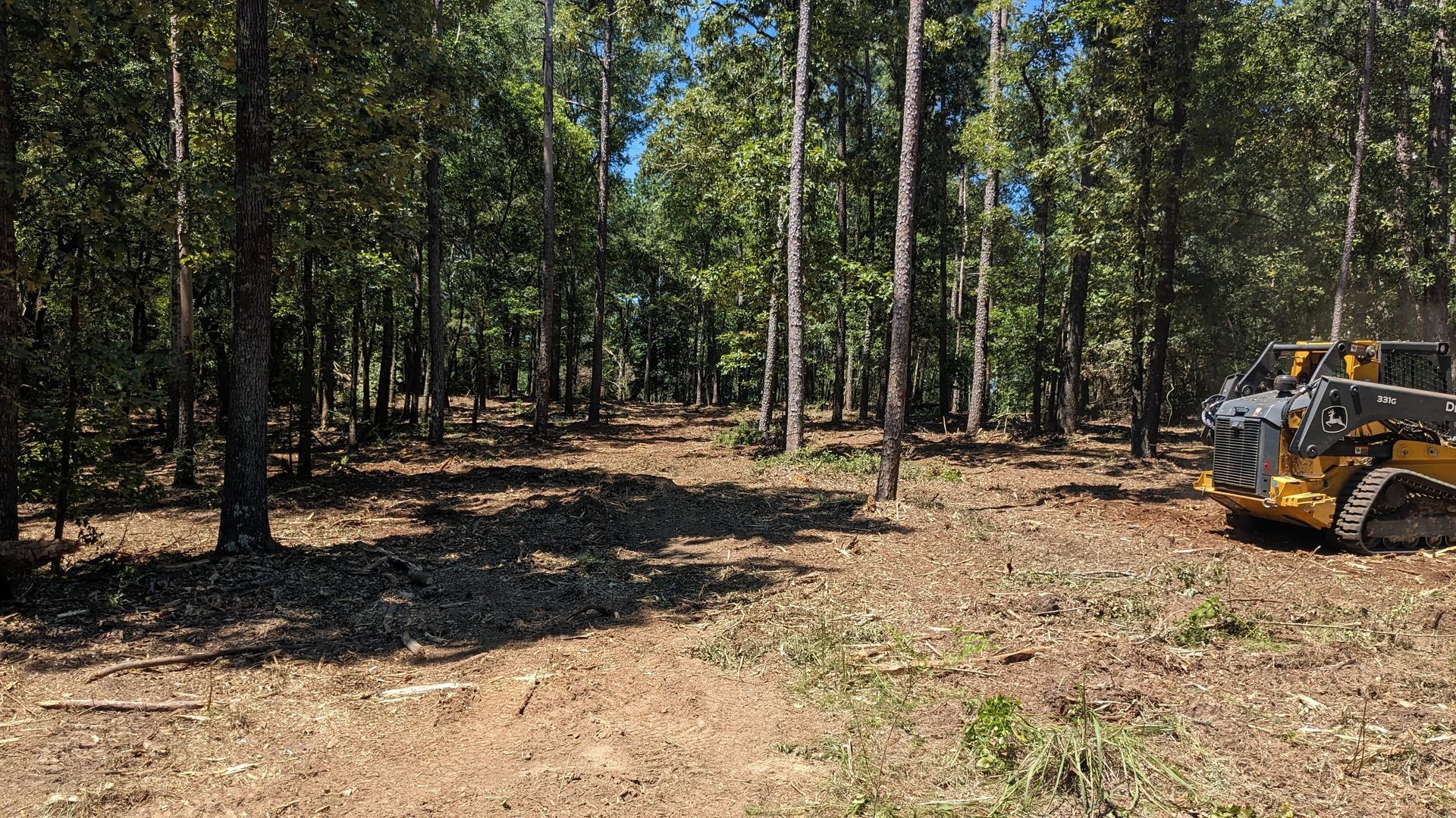 A bulldozer is cutting down trees in a forest.