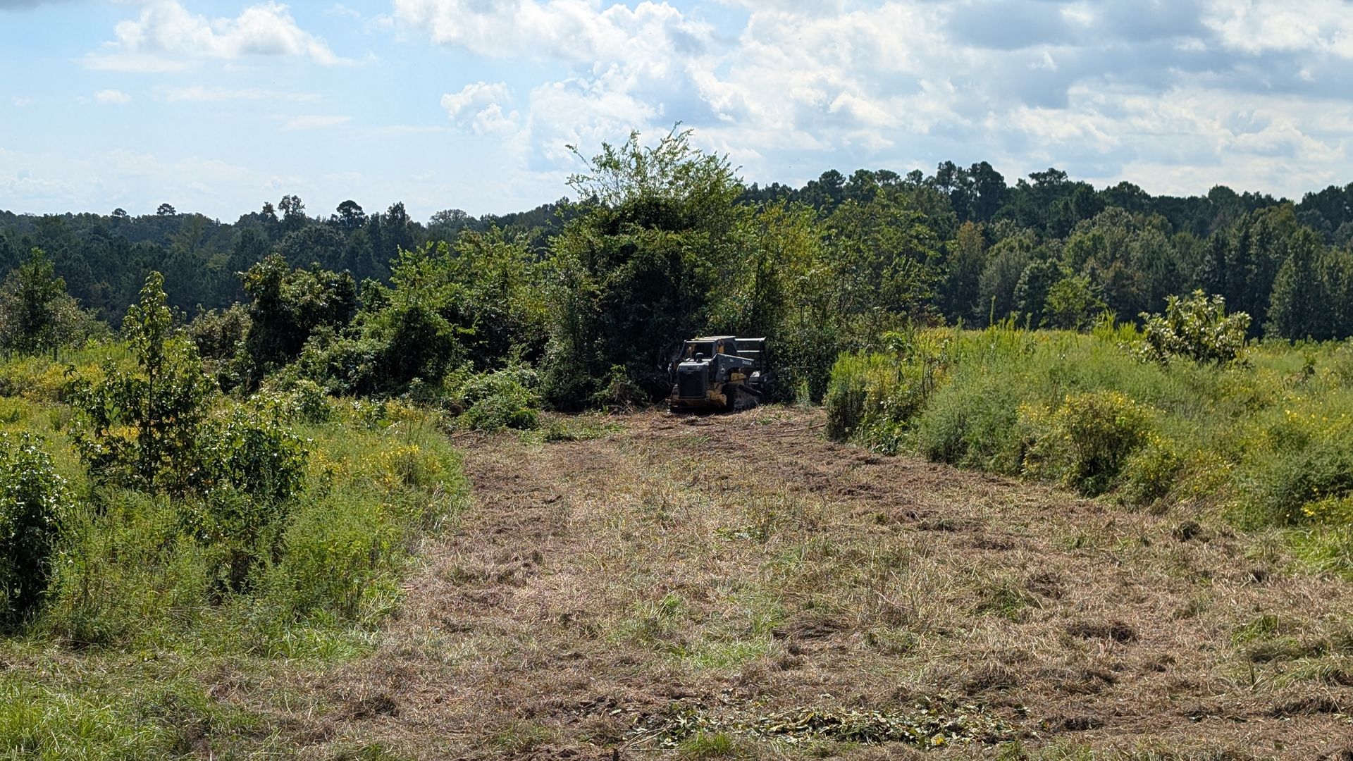 A jeep is driving down a dirt road in a field.