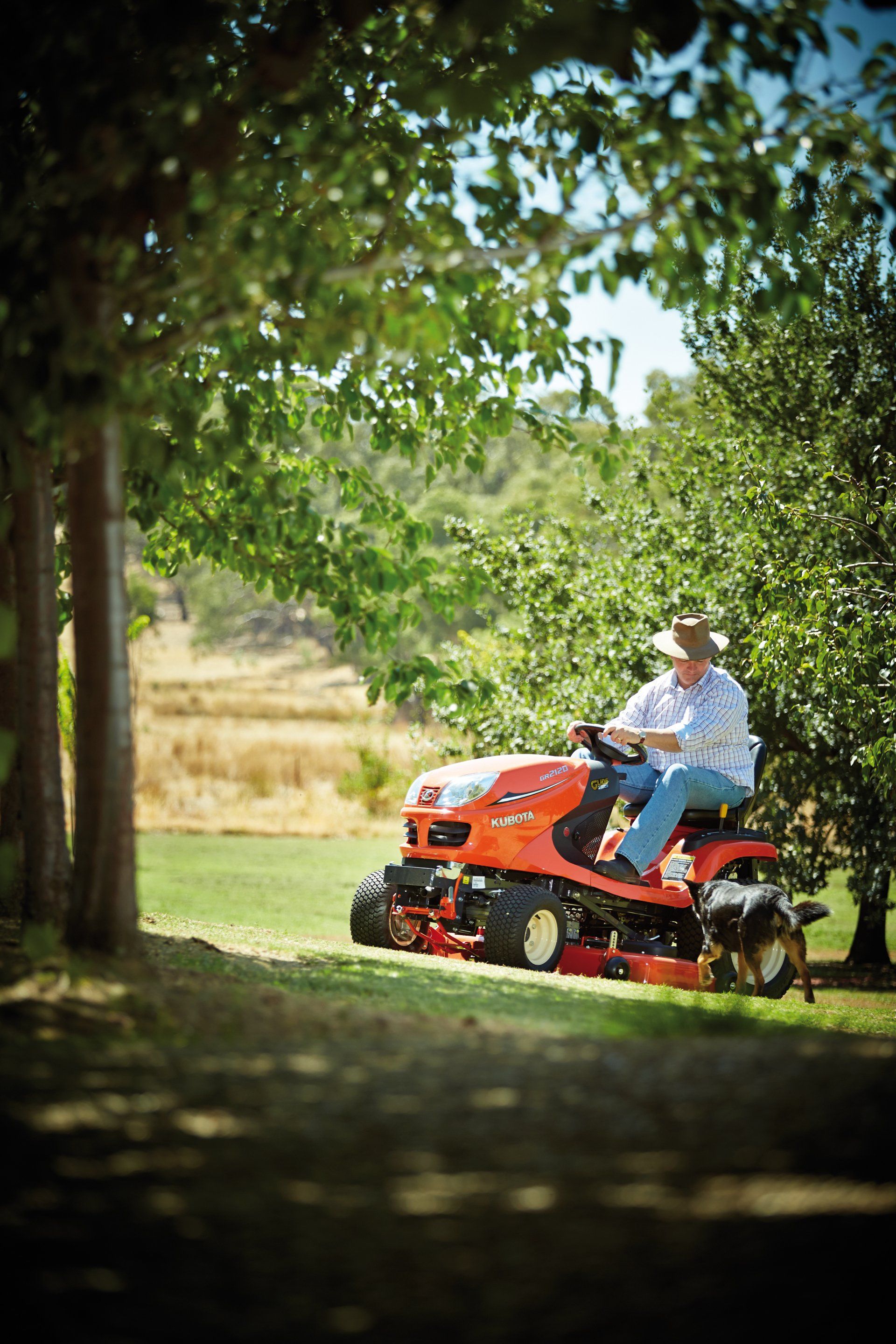 Huge Yellow Powerful Construction Machinery With Big Bucket — Machinery Sells In Dorrigo, NSW