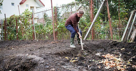 A man digging in the dirt with a shovel | Tree Fertilization