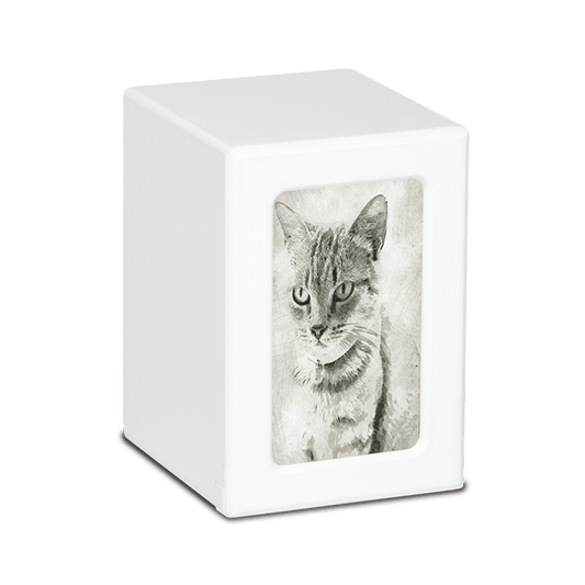 A white box with a picture of a cat on it.