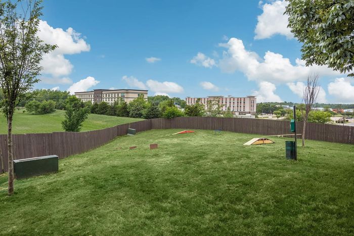 A grassy dog park with a wooden fence. Buildings and blue sky with clouds in the background.
