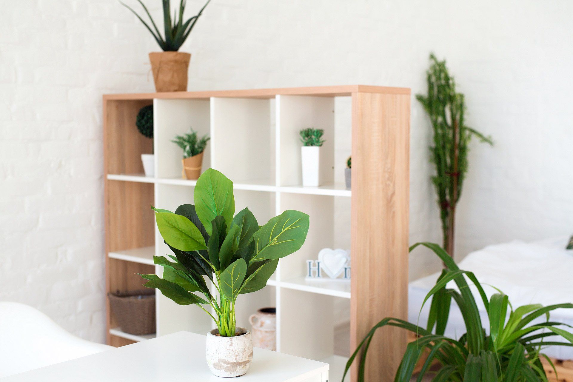 Cozy interior design of modern studio apartment in Scandinavian style