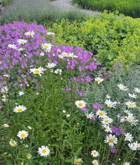 Beplanting Bilthoven (2)