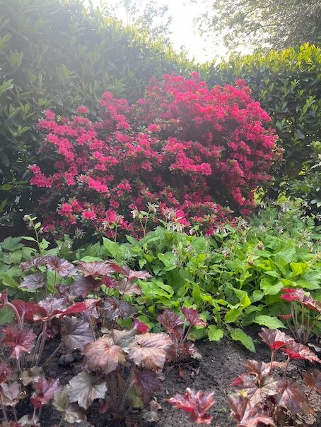 Beplantingsplan Bilthoven