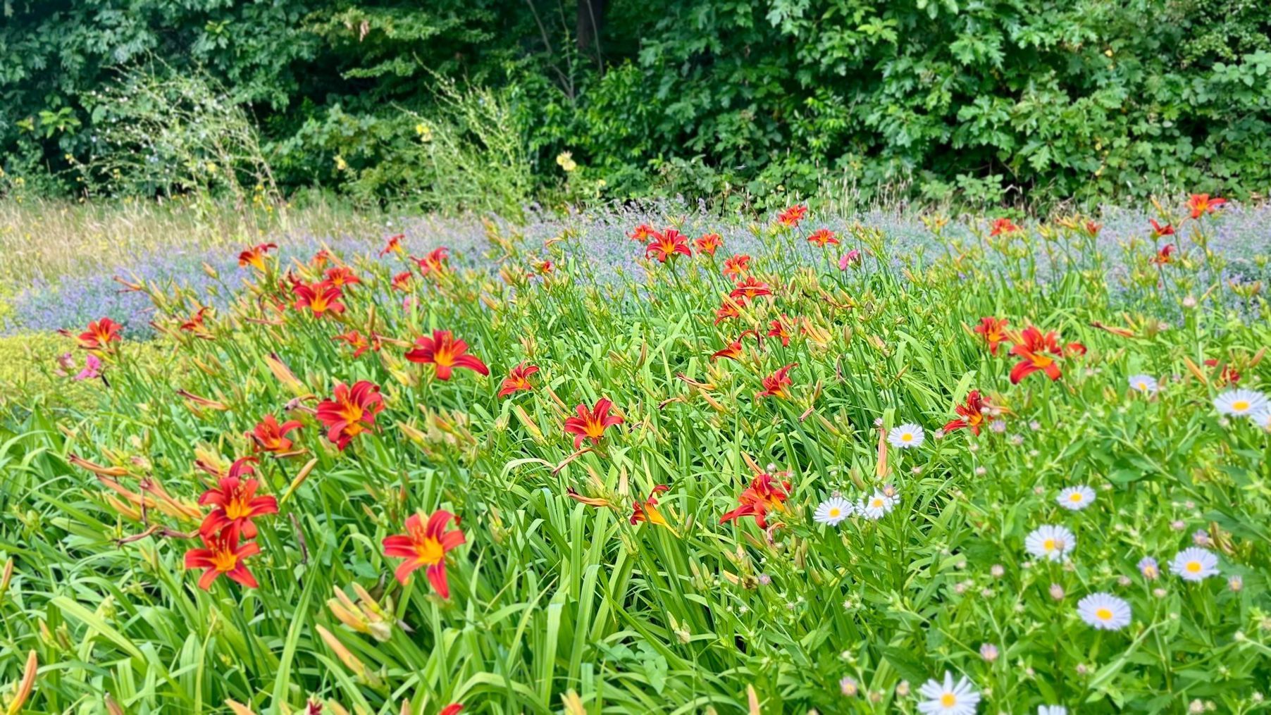 Groenvoorziening Bilthoven Onderhoud groenvoorziening Bilthoven BiltHoveniers