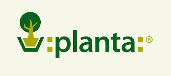 Planta Planta