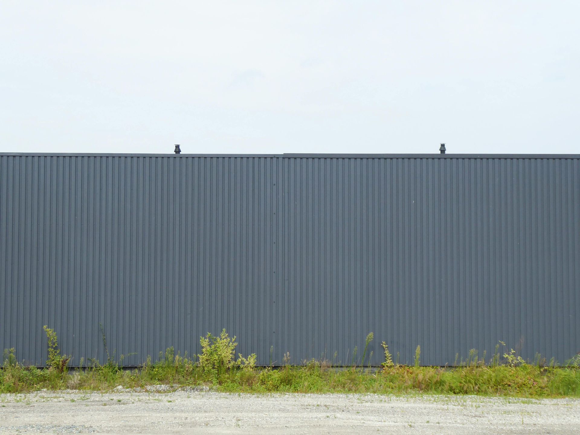 Gray corrugated metal wall with two small birds perched on top, above a strip of green weeds