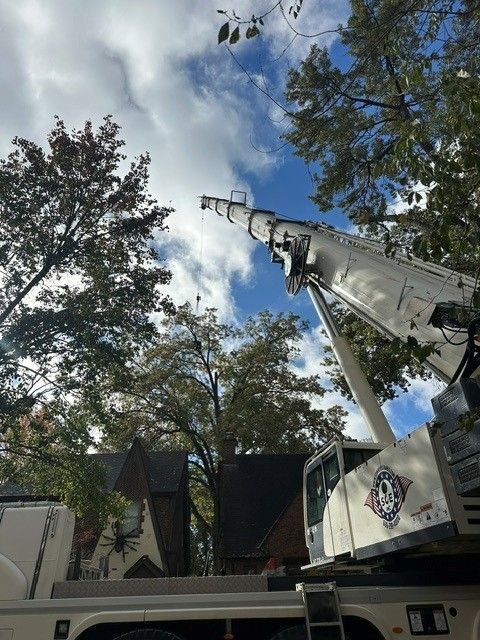 Large white crane lifting a silver spacecraft above trees and a building at an outdoor exhibit