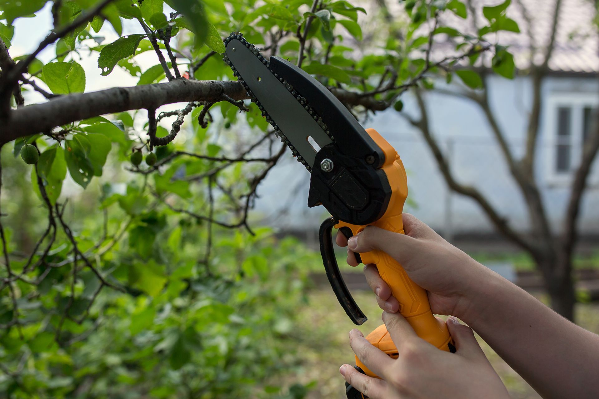 Gardener pruning a tree with a light cordless chainsaw, showcasing his tree care abilities.
