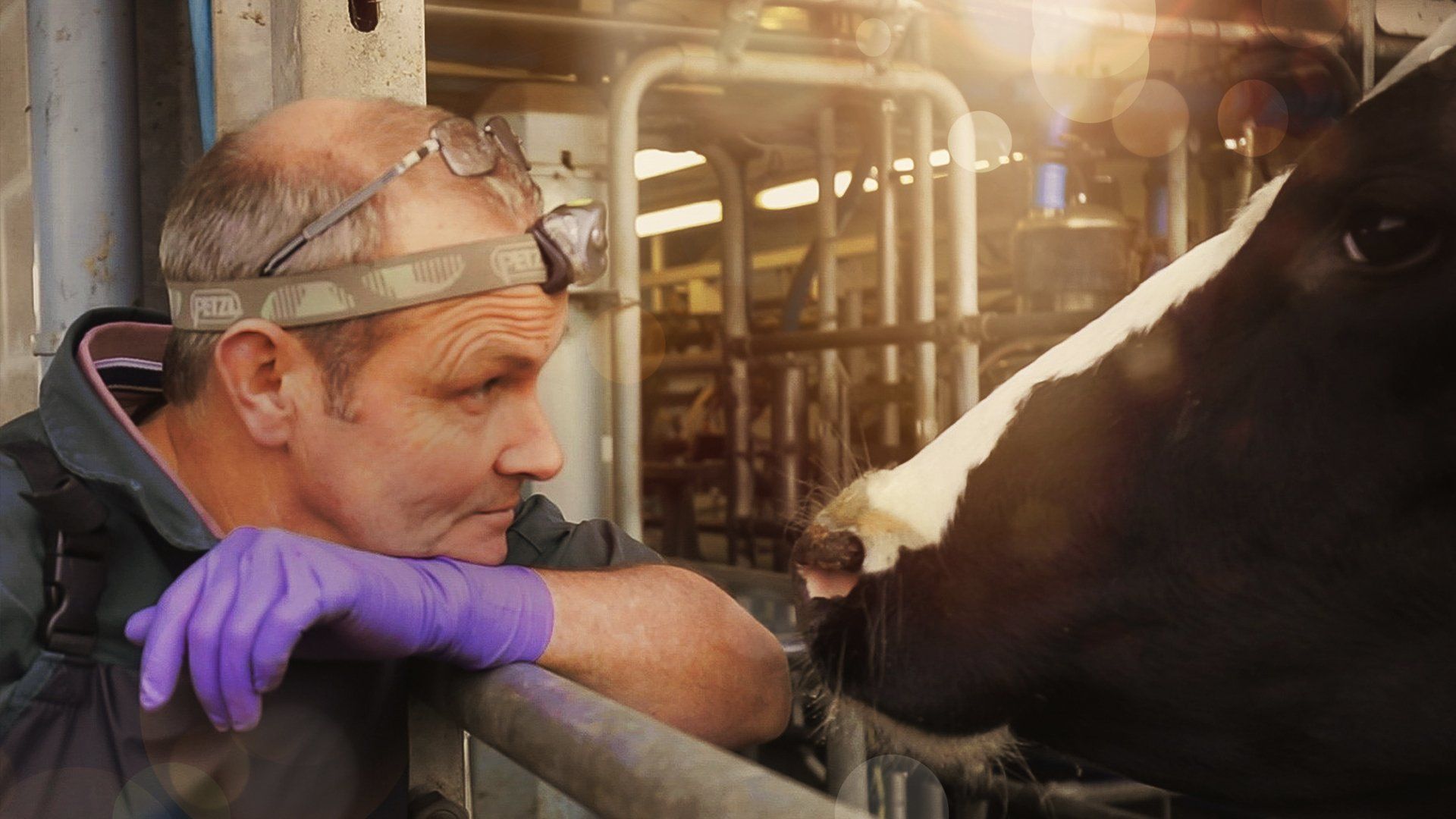 IOW centrifugal Oil separator cut away showing unique bowl discs. Oil comes up through the impeller which helps start the centrifuge start spinning.