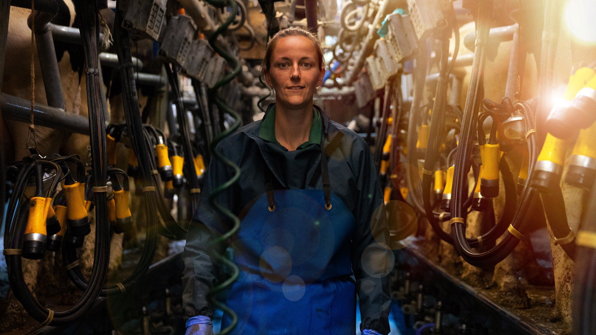 The IOW Group Centrifugal has an impeller at the the top of the centrifuge with a fine mesh insert which oil travels through to exit the centrifuge.