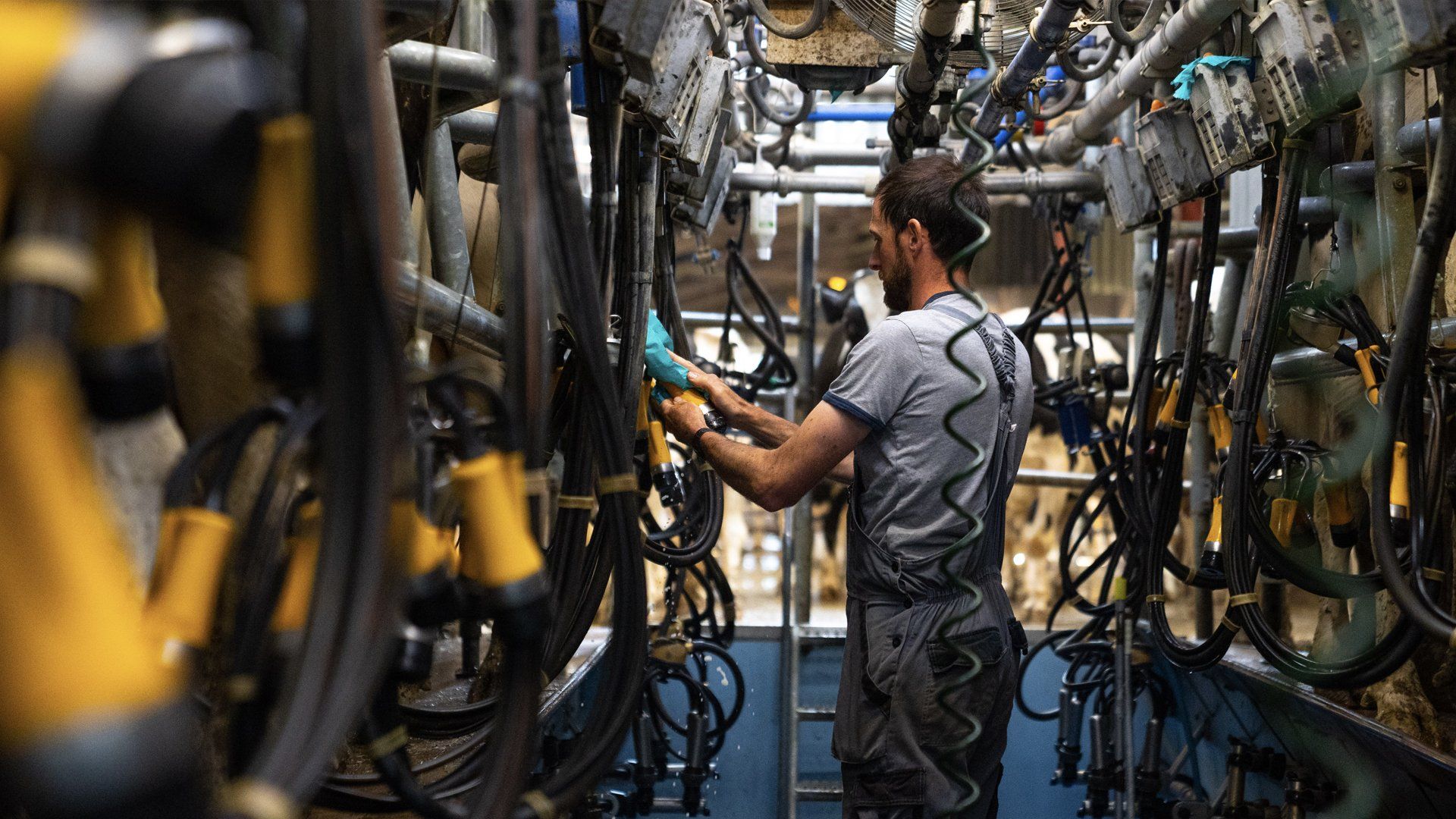 IOW Group Centrifugal Lube Filter cut away - oil is subjected to Gforce 2000 greater than gravity which forces contaminants like soot and other damaging particles out to the bowl wall of the centrifuge to form a sludge cake