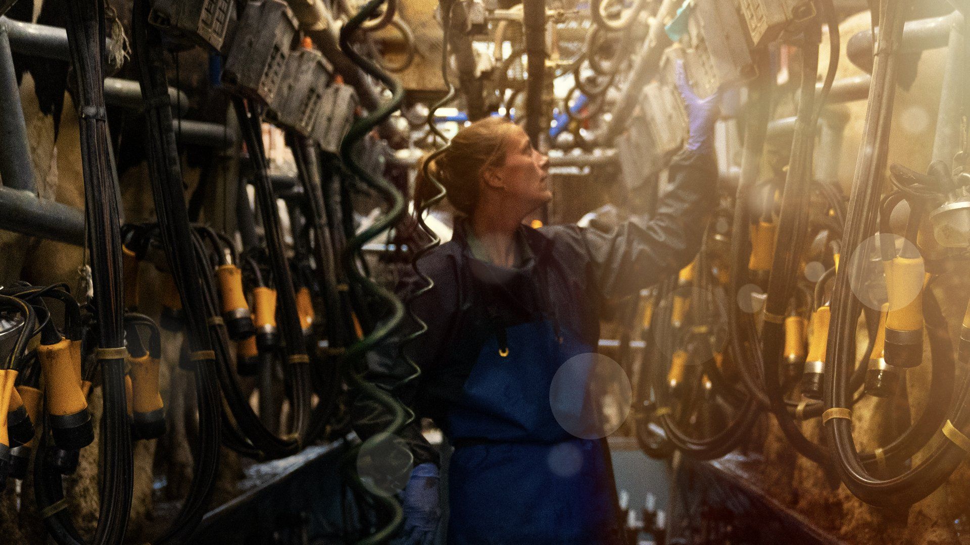 The IOW Group Centrifugal has an impeller in the top of the centrifuge which oil is spun out though..