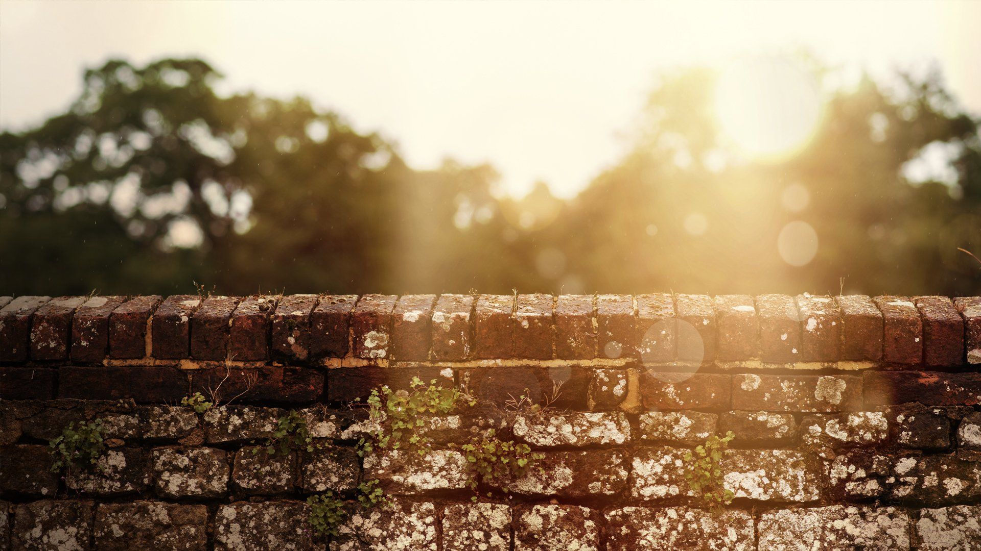 IOW Group centrifuges are the only lube filters of their type to have a choice of external monitors to show that the centrifuge is on, running and when it requires servicing.